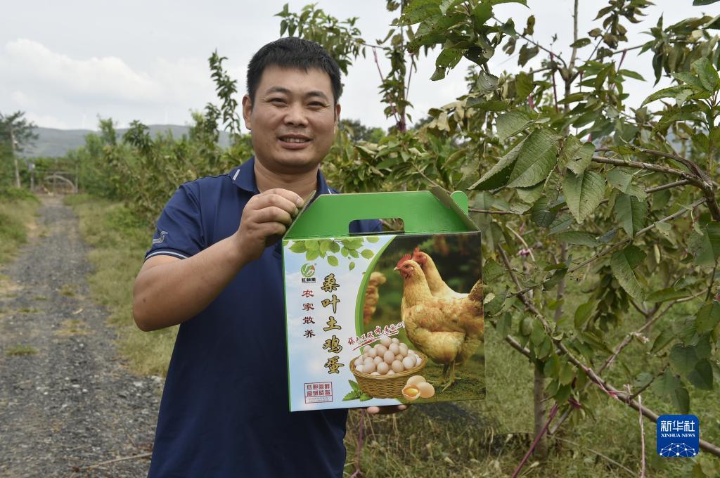 鑫盛游戏官网下载
